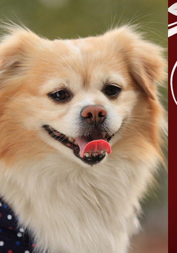 太阳成集团tyc7111cc