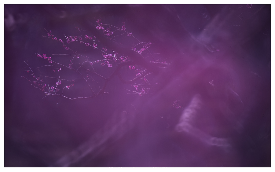 太阳成集团tyc7111cc