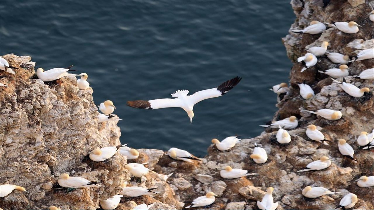 太阳成集团tyc7111cc