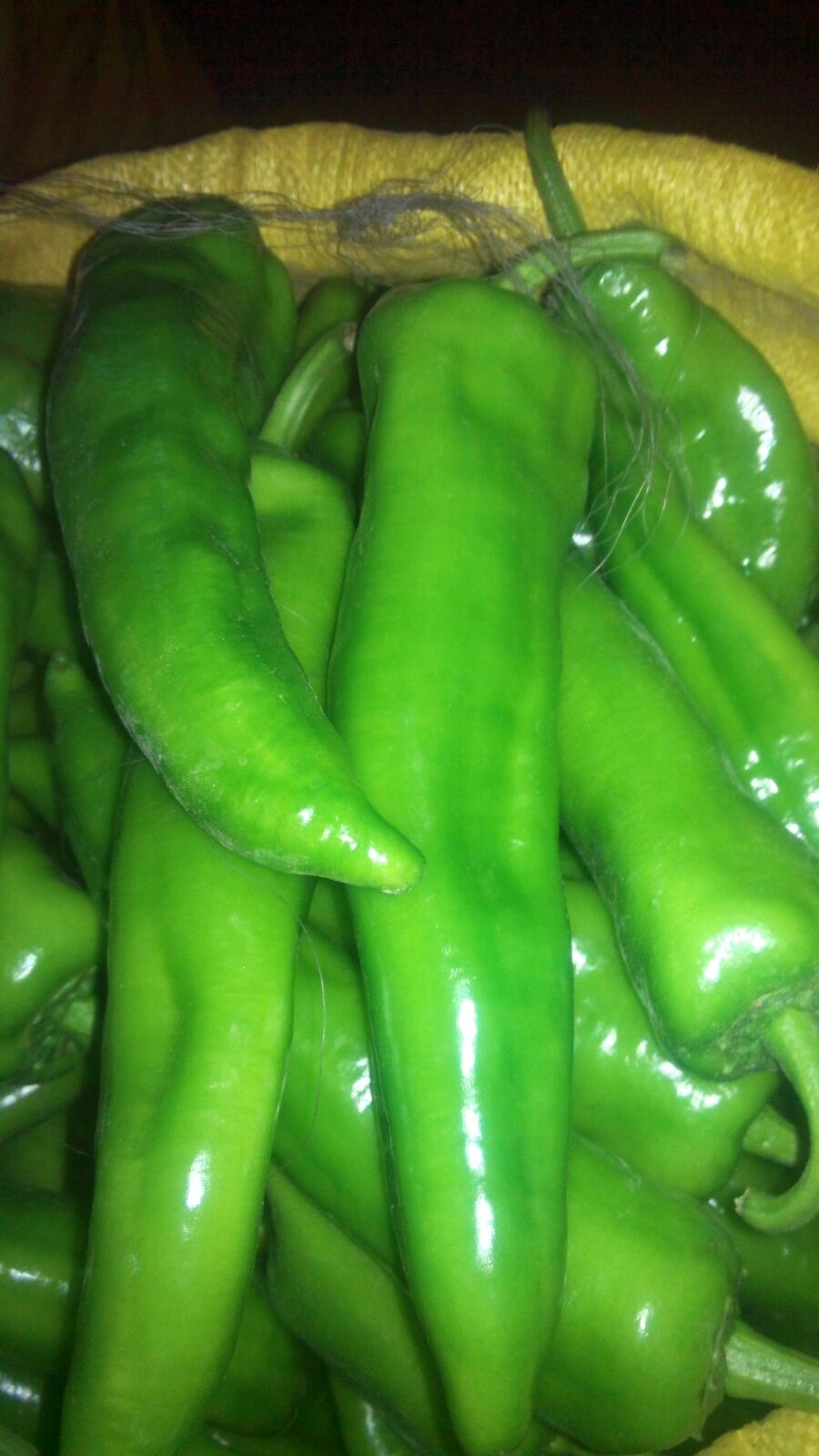 太阳成集团tyc7111cc