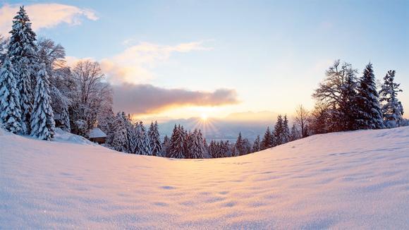 “太阳成集团tyc7111cc”第26届中美商贸联委会中美农业工作组会议召开(图1) 太阳成集团tyc7111cc