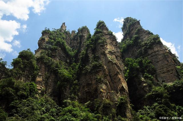 太阳成集团tyc7111cc