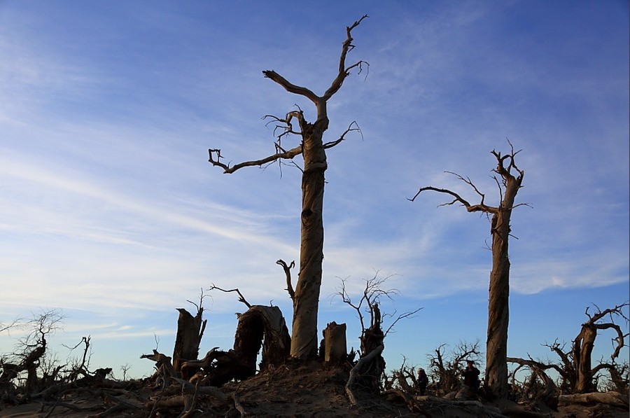 太阳成集团tyc7111cc