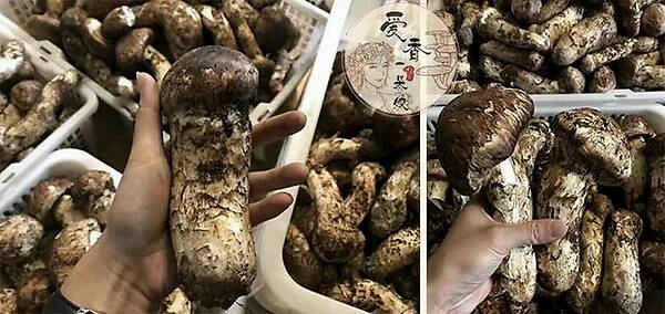 太阳成集团tyc7111cc