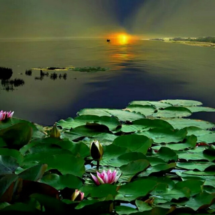 太阳成集团tyc7111cc