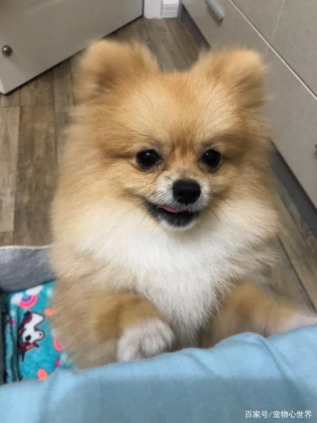 如果APP图标集体翻白眼……笑得捶桌子:太阳成集团tyc7111cc(图3) 太阳成集团tyc7111cc