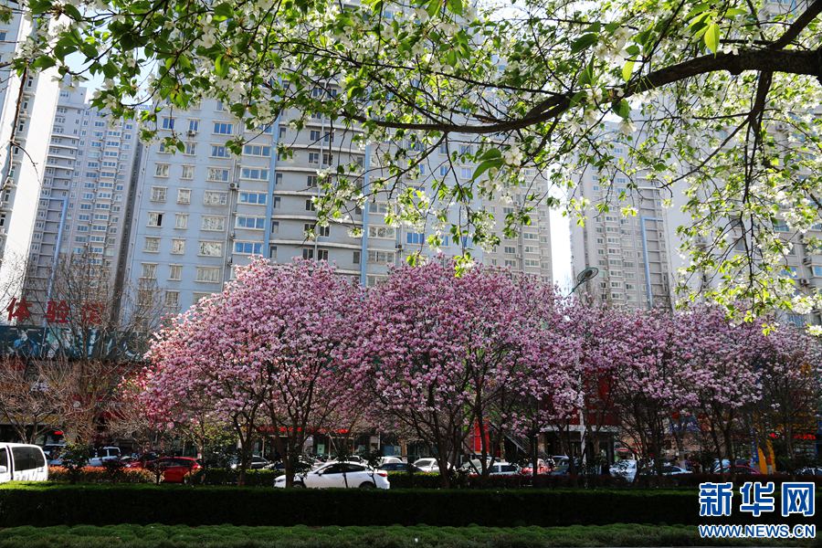 太阳成集团tyc7111cc