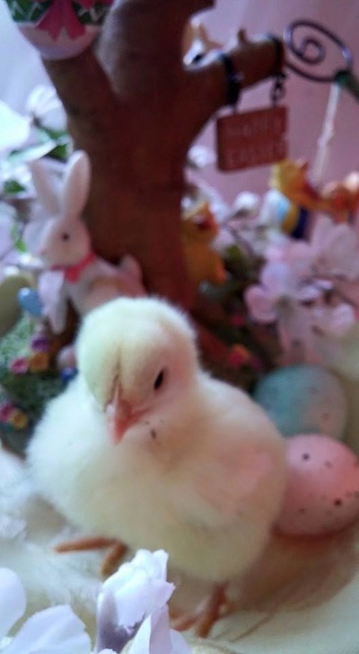 12个专业就业率100%,世界500强企业都来抢人,辽宁这所高校火了!【太阳成集团tyc7111cc】(图2) 太阳成集团tyc7111cc